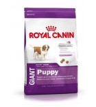 Royal Canin - Canine Giant Puppy 1 kg