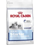 Royal Canin - Canine Maxi Starter M&B 15 kg