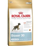 Royal Canin BREED Boxer Junior 12 kg