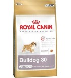 Royal Canin BREED Bulldog Puppy 12 kg