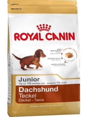 Royal Canin BREED Jezevčík Junior 1,5 kg Royal Canin BREED Jezevčík Junior 1,5 kg