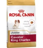 Royal Canin BREED Kavalír King Charles Junior 1,5 kg