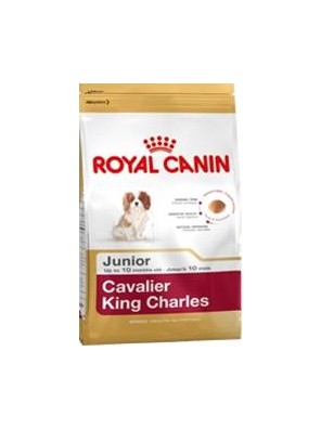 Royal Canin BREED Kavalír King Charles Junior 1,5 kg