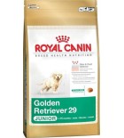 Royal Canin BREED Zlatý Retriever Junior 12 kg