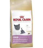 Royal Canin Feline BREED Kitten Br. Shorthair 400 g