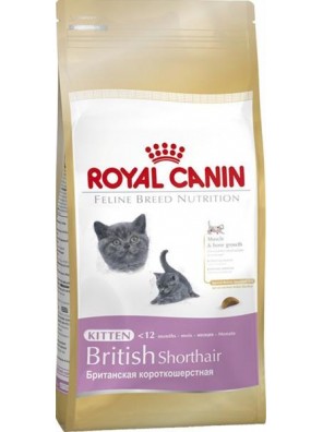 Royal Canin Feline BREED Kitten Br. Shorthair 2 kg