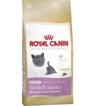 Royal Canin Feline BREED Kitten Br. Shorthair 10 kg