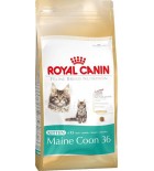 Royal Canin Feline BREED Kitten Maine Coon 400 g