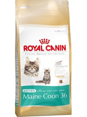 Royal Canin Feline BREED Kitten Maine Coon 400 g
