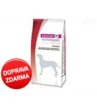 Eukanuba VD Dog Intestinal Dry 12 kg 