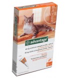 Advantage S.O. kočka a.u.v. do 4kg - oranžová sol 4x0,4ml /pipety/