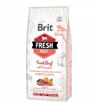 BRIT Fresh Beef with Pumpkin Puppy Large - 12 kg