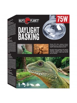 Žárovka REPTI PLANET Daylight Basking Spot - 75 W