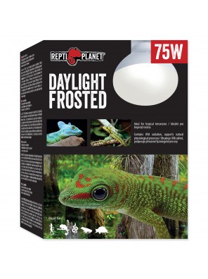 Žárovka REPTI PLANET Daylight Frosted - 75 W