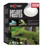 Žárovka REPTI PLANET Daylight Frosted - 100 W