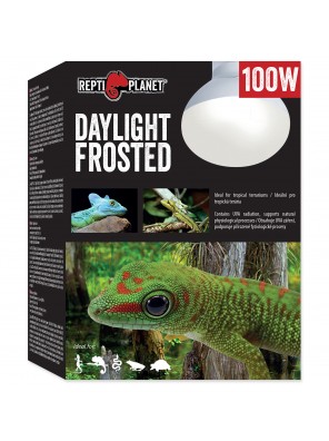 Žárovka REPTI PLANET Daylight Frosted - 100 W