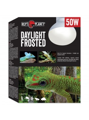 Žárovka REPTI PLANET Daylight Frosted - 50 W