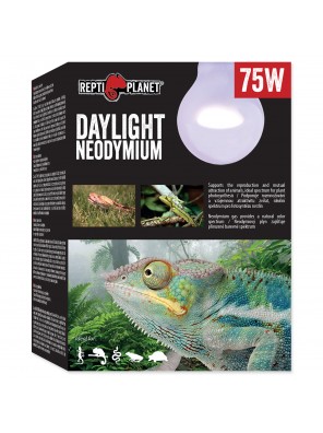 Žárovka REPTI PLANET Daylight Neodymium - 75 W