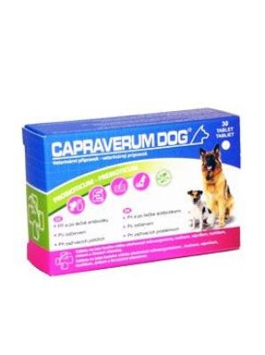 CAPRAVERUM DOG probioticum-prebioticum 30tbl