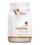 VetExpert VD 4T Intestinal Cat 250g