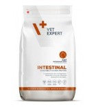 VetExpert VD 4T Intestinal Cat 2kg