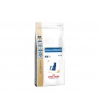 Royal Canin VD Cat Dry Anallergenic 2 kg