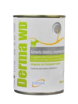 Derma W/D konz. pes 400g