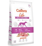 Calibra Dog Life Adult Large Breed Lamb 12 kg