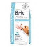 Brit VD Dog GF Obesity 12kg