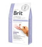 Brit VD Dog GF Gastrointestinal 2kg