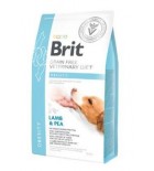 Brit VD Dog GF Obesity 2kg