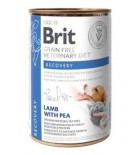 Brit VD Dog+Cat GF konz. Recovery 400g