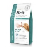 Brit VD Dog GF Care Sterilised 2kg