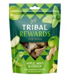 TRIBAL Sn. Apple, Mint&Ginger 125g