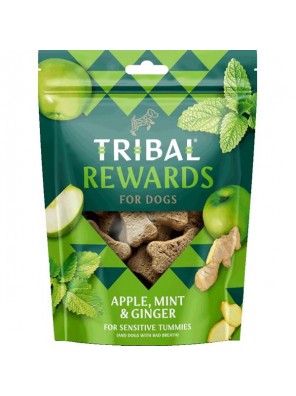 TRIBAL Sn. Apple, Mint&Ginger 125g