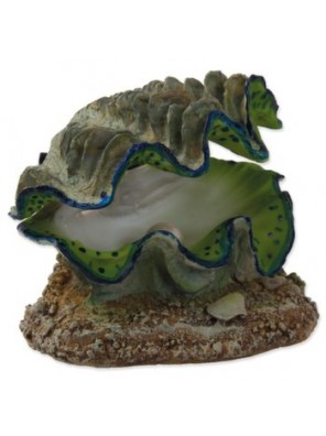 Dekorace Aqua Excellent Škeble vzduchovací 12x10x5,5cm