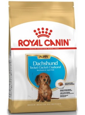 Royal Canin BREED Jezevčík Junior 1,5 kg