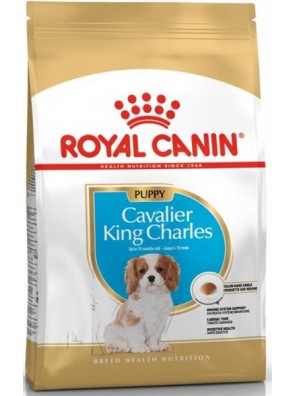 Royal Canin BREED Kavalír King Charles Junior 1,5 kg