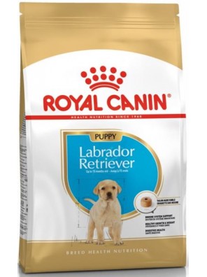 Royal Canin BREED Labrador Junior 3 kg