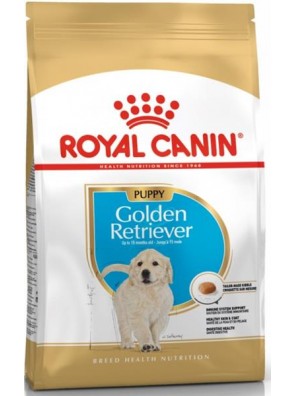 Royal Canin BREED Zlatý Retriever Junior 12 kg