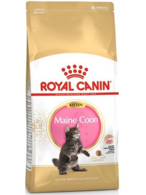 Royal Canin Feline BREED Kitten Maine Coon 400 g Royal Canin Feline BREED Kitten Maine Coon 400 g