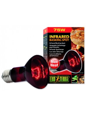 Žárovka EXO TERRA Infrared Basking Spot - 75 W