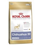 Royal Canin BREED Čivava Junior 500 g
