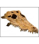 Dekorace EXO TERRA krokodýlí lebka