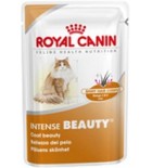 Royal Canin INTENSE BEAUTY 12x85g 