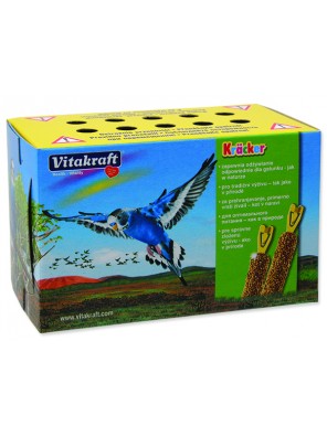 Krabice papírová VITAKRAFT na přenos ptáků