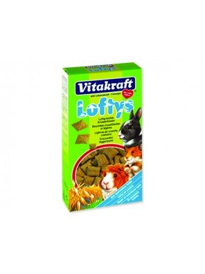 Loftys VITAKRAFT - 100 g