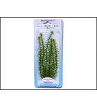 Rostlina TETRA Anacharis Plus 23 cm