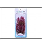 Rostlina TETRA Red Foxtail Plus 23 cm