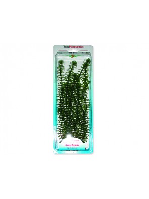 Rostlina TETRA Anacharis Plus 30 cm